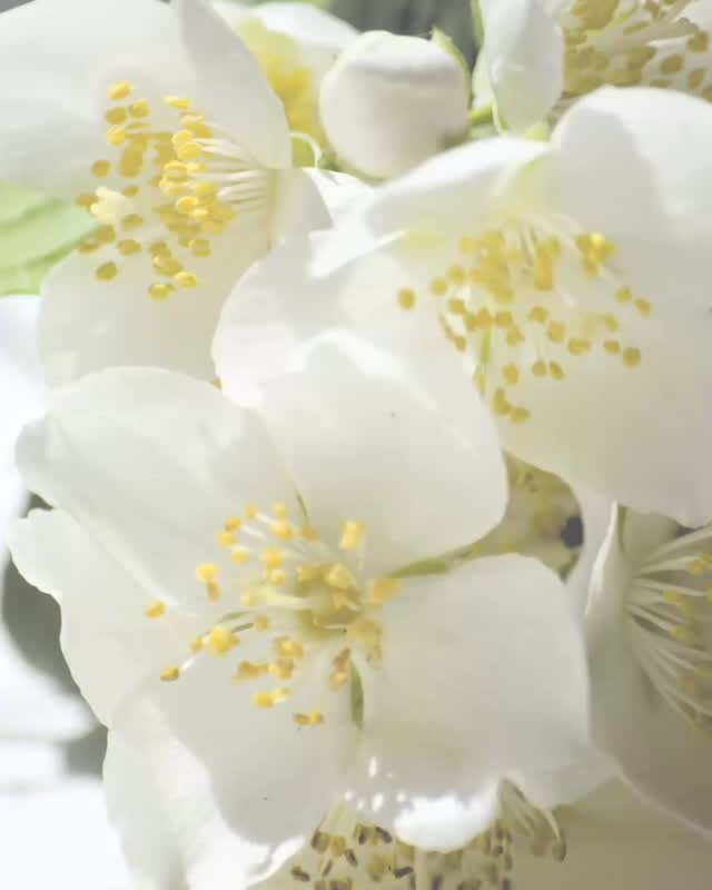 La genèse d’une empreinte... ✨
Notre picto, c’est bien plus qu’un logo, c’est la signature gravée sur chacune de nos pièces en porcelaine. Il est né d’un hommage à la matière : une empreinte de céramique qui reproduit les aspérités des perles ‘Ruée vers l’or’.
Une manière d’immortaliser les textures de cette collection emblématique au cœur même de notre identité.