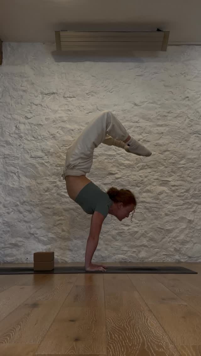 ⭐️MOVEMENT & MEDITATION IMMERSION ⭐️
Sunday 7th June
📍Ashburton
🪷9:30am
Sivananda Yoga Workshop with @heidikarinaonyx
- Asana / classical postures
- Pranayama / Breathwork
- relaxation & morning meditation
- mantra practice
- Yoga nidra Savasana
🍌11:30am
brunch/lunch break @rafikiscafe
🤸♂️1pm
Handstand Immersion workshop with @adonis_v_training
- functional movement
- inversion variations
- mobility
- handstand drills with the wall and without
- full handstand practice
🌺3:30pm
finish with a cafe drink or return home to enjoy your Sunday evening.
💸Both workshops bookable as seperate drop-ins.
Discounts for members at these studios:
@onyxfitnessuk
@spirit_ash
Join us for half or full day immersion into YOGA & INVERSIONS
We look forward to practicing with you!
🧞♂️🧞♀️🕉️🌸🖤🫶
#inversions #yoga #immersion #handstands #ashburton