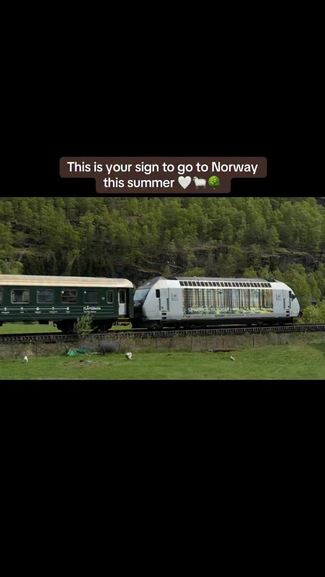 I found happiness among fjords, sheep & scenic trains 🤍
This is
📍Flåm & Flåm Railway, Norway