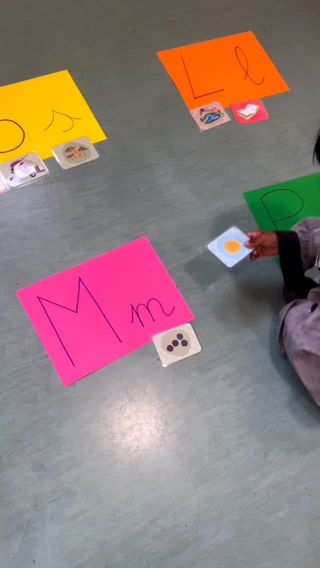 Nuestros peques de la clase de 4 años, ya han aprendido las letras L, P, M y S.
Seguimos avanzando en nuestro camino hacia la lectura y la escritura ✨📚
Trabajamos a diario la conciencia fonológica: identificar sonidos, relacionarlos con sus grafías y formar palabras con las letras L, P, M y S, que ya hemos aprendido este curso 👏💛
A través del juego y la manipulación, nuestros peques desarrollan habilidades fundamentales para convertirse en futuros lectores y escritores. 📚
#micolelapurisimamadrid #colegiolapurisimamadrid #fundaciónefi