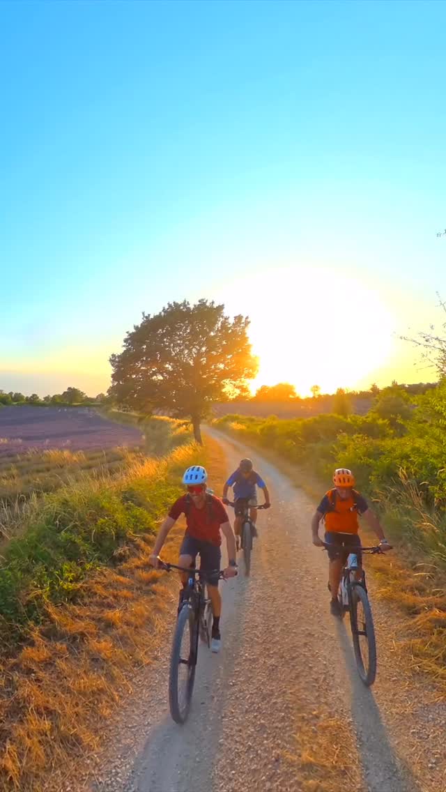Staubige Trails, der Duft von Lavendel in der Luft und irgendwo zwischen den Hügeln der Ardèche einfach nur dieses Gefühl von Freiheit. 💜🚵♂️
Genau das macht den Sommer im Frigoulet so besonders. Wenn die Sonne langsam tiefer steht, die Zikaden zirpen und sich die Trails durch die violetten Lavendelfelder ziehen, entstehen diese Momente, die man nicht mehr vergisst.
Bikeferien im Süden Frankreichs. Echt, wild und voller Frigi Vibes. ☀️