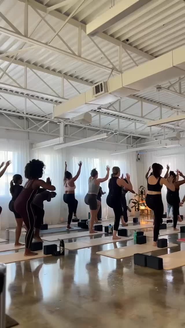Shimmy if you’re booking UNLIMITED CLASSES at KKRU studio starting this Friday, May 15th! 🔥🕺🏼🪩
Grab your Summer Special Unlimited Group Class Membership now via the link in our bio and start booking Mat Pilates, Full Body Sculpt, Yoga, Somatic Exhale, Apprentice Tower, Apprentice Reformer & more!!
#summerspecial #unlimitedclasses #kkrupilates #limitedoffer #atlantapilates