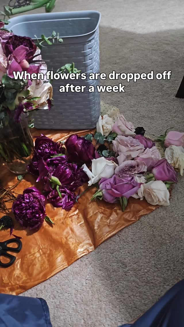 When the flowers are dropped off after a week…it is kinda late but sometimes we can still work our magic…this piece has Peonies that fell all apart…so we glue led each petal and made a complete flower…the pale flowers were color enhanced…orchids were enhanced with a traditional brush…of course it does take much much more time so definitely there is some extra charge for it…but it will definitely be worth it!
.
Florist: @adflorist
.
Mold: @zapp3d_design use code ‘Pranal5’ for discount on molds
.
Resin: @superclearepoxy liquid glass. Use the link in linktree bio and code ‘Pranal5’ for additional discount. The coupon can be stacked on current discounts they are running.
.
.
.
.
.
#bouquetpreservation #flowerpreservation