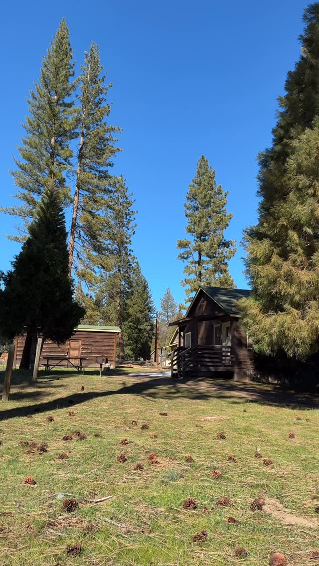Plans for this summer: disappear into a cabin in the mountains 🤠🏞️