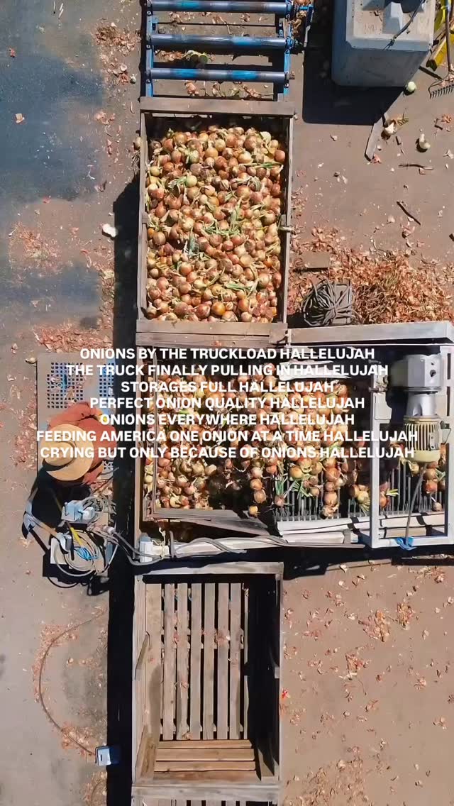onions by the truckload hallelujah 🧅🚛 #hallelujah