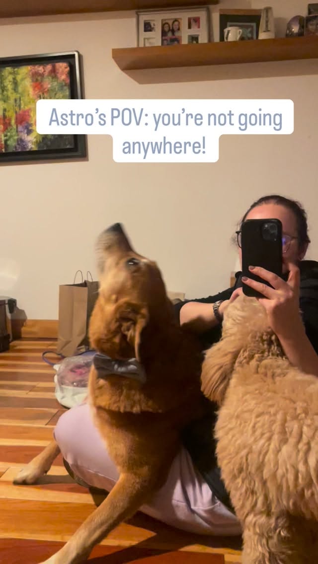 You picked up your bag and now your heart is breaking because he knows you’re leaving. 🥺
The “I’ll miss you as hell” struggle is real. 😭
The second he sees me getting ready, he climbs into my lap, starts giving kisses, and even recruits his doodle sibling for emotional backup. It’s a full-on intervention!
Dogs notice EVERYTHING. 🕵️♂️
Your routine, your keys, your shoes, that specific bag... they pick up on every tiny signal that you’re headed out the door. It makes leaving the house the hardest part.
While the “don’t leave me” cuddles are the best, it’s also a sign of how deeply we’re bonded.
I’m here to help you and your pup navigate the basics (with plenty of kisses along the way!):
• 🎓 Puppy Training: Building the right foundation from day one.
• 🚶♂️ Walk & Train: Burning energy and practicing manners while you’re busy.
• 📚 Basic Obedience for Humans: Learning the language of your best friend.
Does your dog have a “tell” when they know you’re leaving? Do they sit on your feet, hide your shoes, or go full lap-dog like mine? Tell me your “guilt trip” stories below! 👇