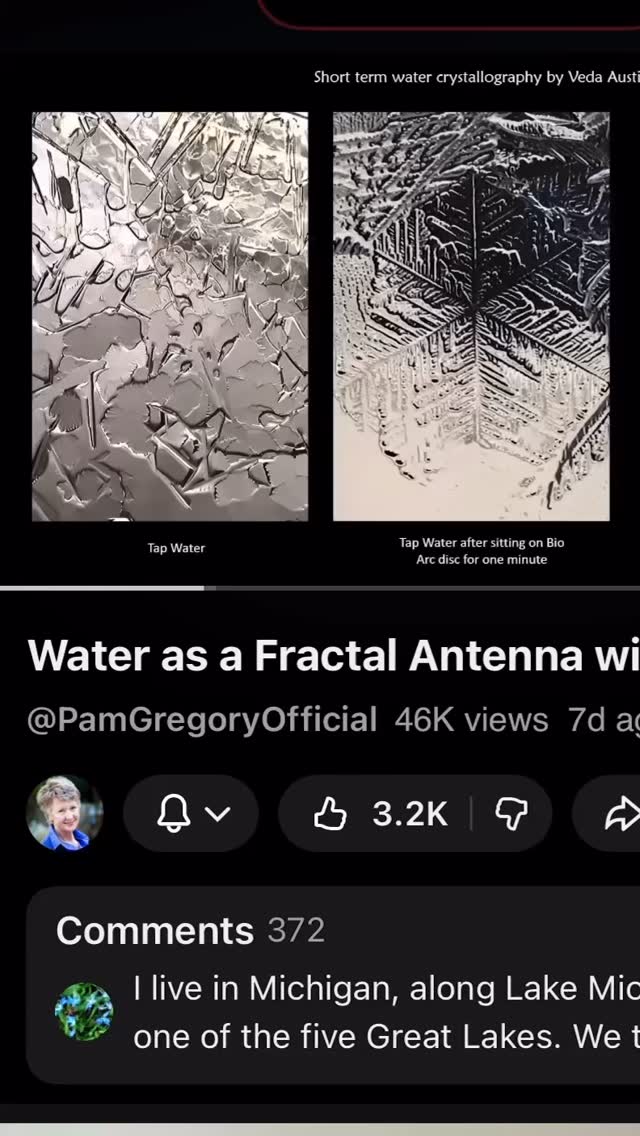 Structured water with fractal geometry. Researcher describes sacred geometry, living water, ether physics, anthroposophical science, and plasma research. #sacredgeometry #livingwater #structuredwater #lightbody #plasma