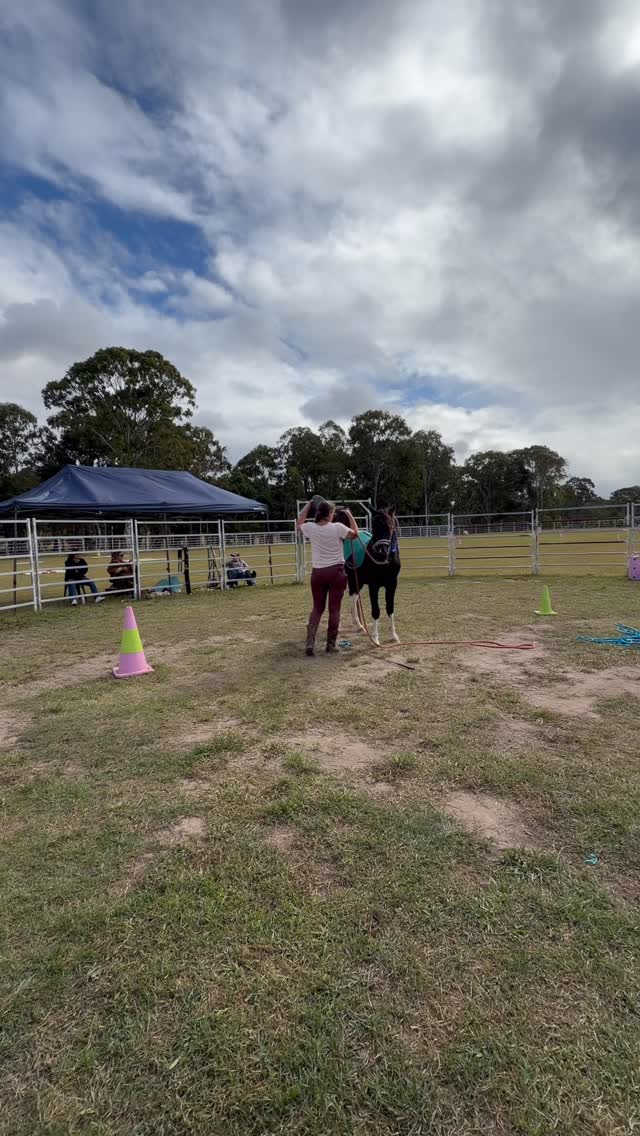 Little baby Beau and his trainer Mia, what a beautiful team 🤩 this little fella did exceptionally well these past 5 days! He didn’t start his riding career due to the fact his little body just isn’t physically strong enough yet but my gosh is he gonna be something special as he matures 😍 Beau smashed all that was thrown at him and made it to big kid school being saddled, mouthed, long reined, ridden from the ground and getting used to Mia being high above him on the rails. This team absolutely smashed it 🤩
#horseswithholly #horsemanship #horsetraining #horselove #horselover