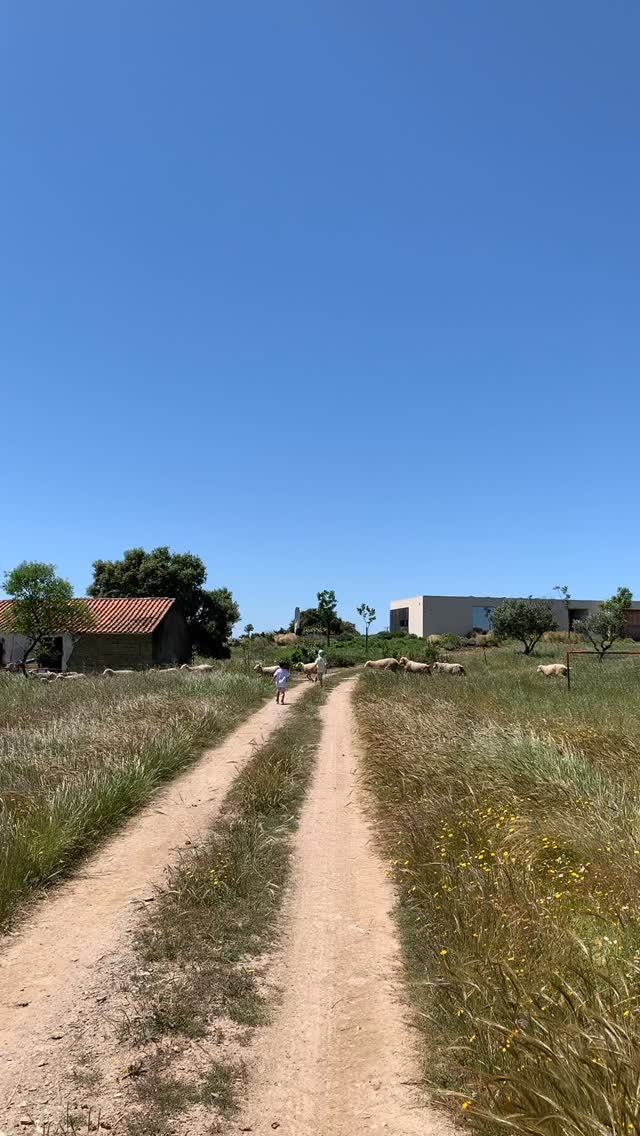 The real luxury these days is slowing down. Here, time stops. Privacy is complete. Tranquility runs deep.
Book your stay and breathe again ☀️✨🌾