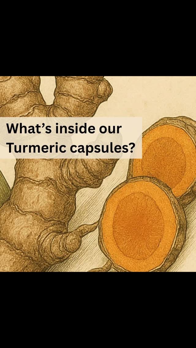 link in our bio 🔗
Whats in our Turmeric Capsules?
We use organic extracts which ensure consistent dosing with smaller easy-to-take capsules.
#turmeric #curcumin #curcuminbenefits #trytoday