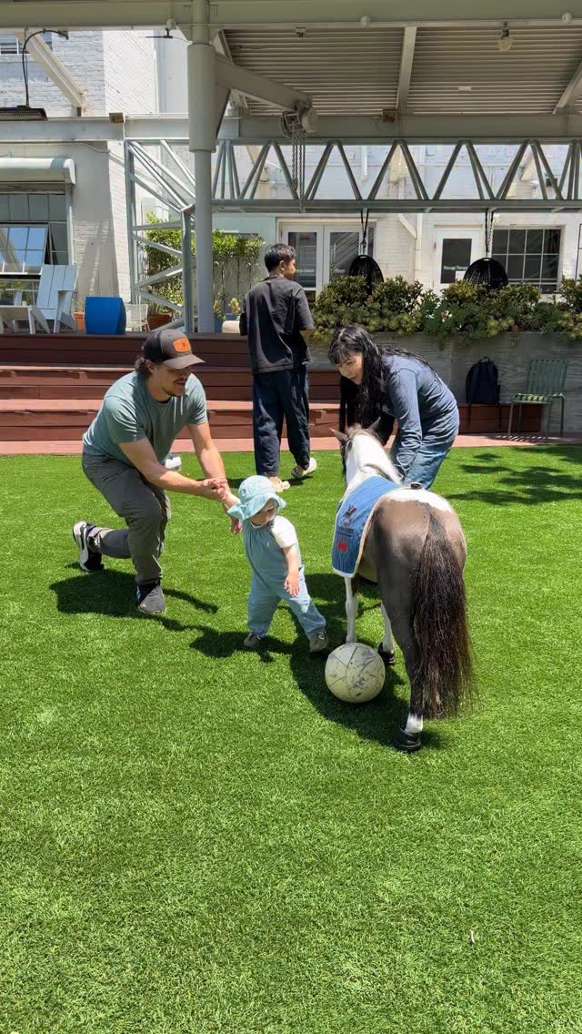 Liberty Belle loves to play with balls! ⚽️