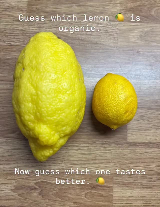 Don’t be seduced by the big shiny one !
🍋It was all pith & no juice .
🍋the small narley one was DELICIOUS & juicy & UNWAXED.
#buyorganic #lemons #unwaxedlemons #suzeetylee #functionalmedicine