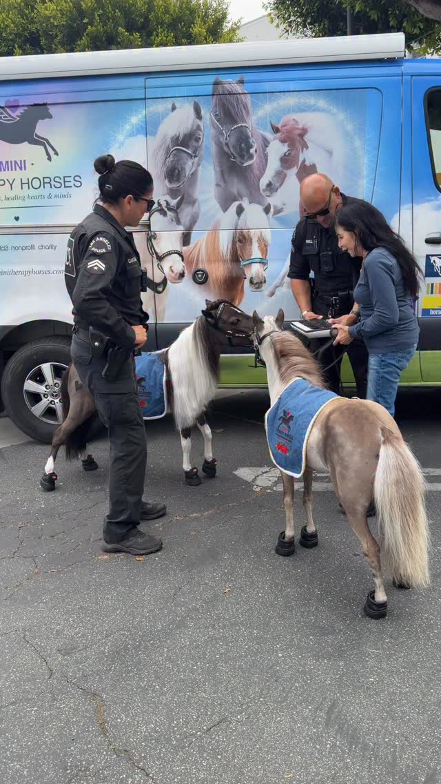 The Venice LAPD had a chance to destress with Belle and Willow! @lapdpolicechief @lapd #venice #destress #keyboard #minitherapyhorses #wellness #compassion #horse #equine @ucla_pac @cedarssinai #community #kindness #minitherapyhorses
