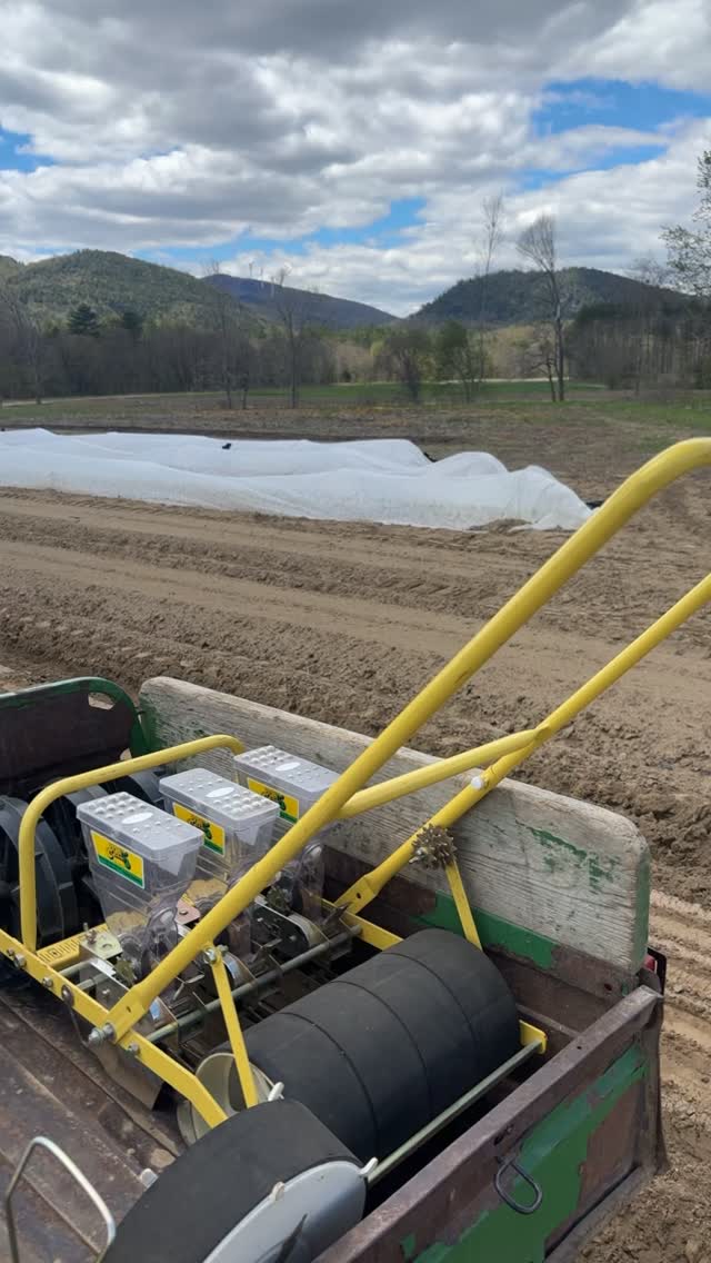 #farmingtoday #longviewfarmstand #nhfarming #supportlocalfarms