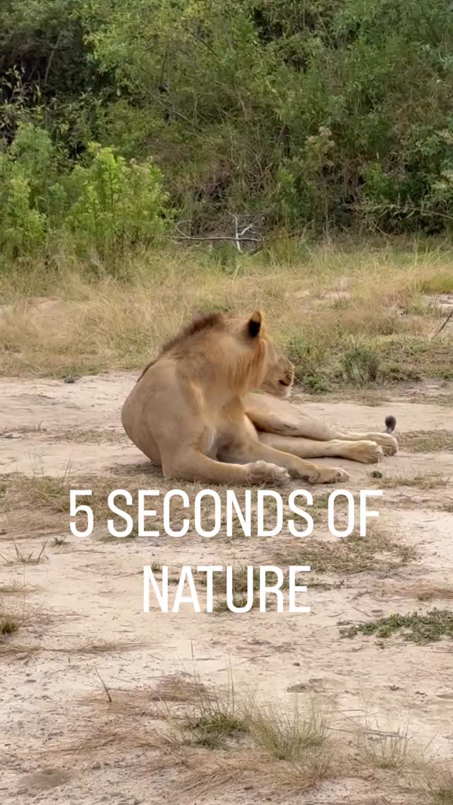 5 SECONDS OF NATURE.
Breakout your daily routine and reconnect with nature.