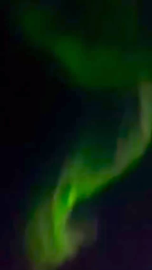 “Look at that, look at that!”
Friends of ours having the time of their lives near the Arctic Circle. Chance of a lifetime trip for them. Thank you for sending this joyous clip. #auroraborealis #northernlights