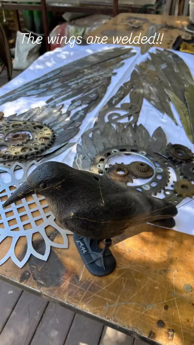 The big Raven is in progress and his wings are altogether. Now to give him a body. #ArtAndEnvironments #WomenWeld #SteamPunkRaven #SteelRaven #CommissionedSculpture