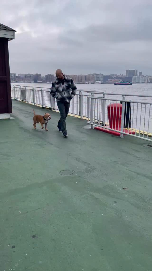 FOR TRAINING IN LA & NY - DM US.
Our training goals for all clients is a relaxed freedom to go anywhere and do everything they want with their dogs. My philosophy is 👇
There is a BIG difference between dogs knowing HOW to something and actually doing them in the real world. Franko is 6 months old and this is what we call a “proofed heel”. He is engaged and heeling for the joy of interacting w/ his dad. I’m sending Brutus in to distract him but his jouful engagement with his dad exceeds those distractions.
Commands need to work in the real world or they are just suggestions we don’t trust. We need to trust our commands and our dogs ability to follow them. This creates relaxed freedom as we move through the world with them
#dogs #dogtraining #dogmom #dogdad