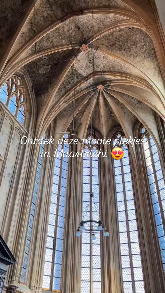 Als je komt overnachten bij Mille Fleurs Apartments, ontdek je niet alleen de schilderachtige Voerstreek maar ben je ook zo in de historische steden Maastricht, Aachen, Liège en Spa.
Kom ontdekken, proeven, genieten kijk voor meer info in de bio!
#voerstreek #visitlimburg #vakantiehuis #historischesteden