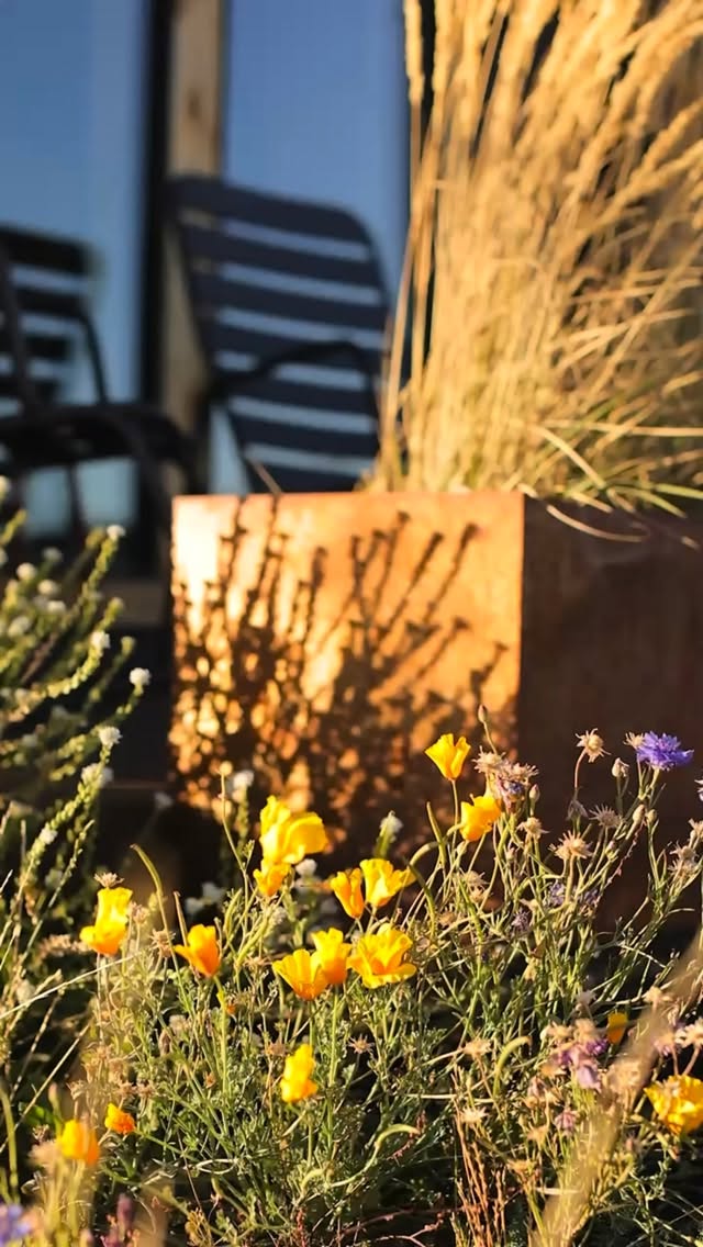 we hear this one a lot lately 🥹
fresh mountain air, slow mornings, wood-fired tubs, fishing at the pond, campfires at night… honestly we get it.
might have to stay a little while too ✨
#yellowstonepeaks #islandparkidaho #yellowstone #boutiquehotel #visitidaho