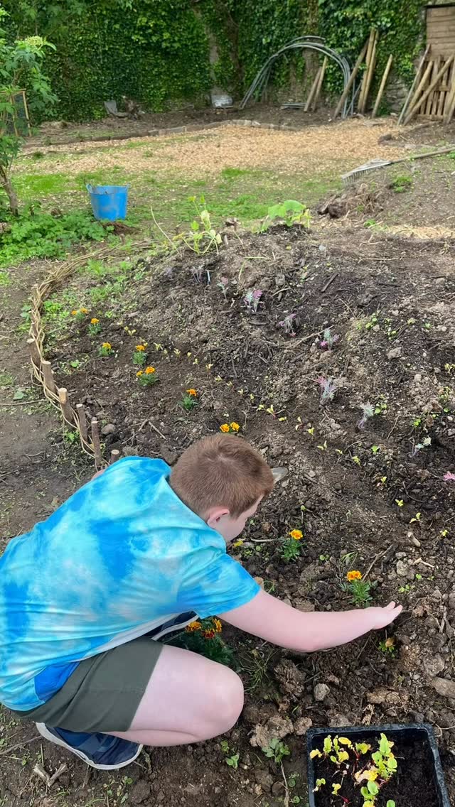Moor to Grow at Kitley
#horticulture #permaculture #hugelkulture