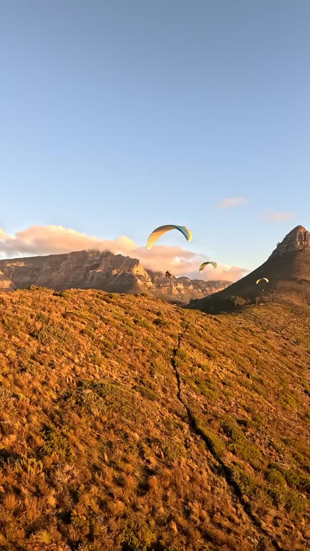 Come experience the "WOW" for yourself.
#capetown #paragliding #skysafari #southafrica #tablemountain