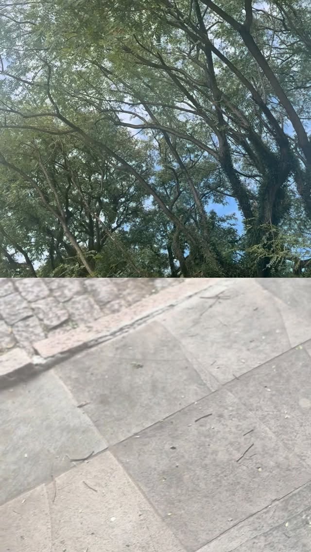 Buenas! Ontem uma pessoa me perguntou para que serviria fazer terapia se nada ao redor dela poderia mudar: a mesma família, a mesma casa, o mesmo trabalho…
Acredito que talvez essa seja uma das perguntas mais humanas que alguém pode fazer.
A psicoterapia nem sempre muda imediatamente o mundo ao nosso redor. Mas pode transformar a forma como nos posicionamos diante dele.
Na Logoterapia, Viktor Frankl nos recorda que nem sempre escolhemos as circunstâncias que atravessamos, mas ainda podemos escolher a atitude que assumimos diante delas. E, muitas vezes, é nesse espaço pequeno, íntimo e profundo, entre aquilo que acontece conosco e a resposta que damos à vida, que o sentido começa a aparecer.
Fazer terapia não significa viver uma vida sem dor, sem conflitos ou sem limites. Significa aprender a olhar para a própria existência com mais consciência, responsabilidade e presença.
É poder se perguntar: o que essa situação está me pedindo? Que valores ainda posso viver aqui?
Que resposta posso oferecer, mesmo diante do que eu não consigo mudar?
A psicoterapia não apaga os problemas do mundo. Mas pode ajudar a pessoa a reencontrar direção, reconhecer possibilidades e sustentar uma vida com mais sentido.
Porque, às vezes, o mundo lá fora continua o mesmo.
Mas algo dentro de nós começa a se reorganizar.
E isso também é transformação.
#psicologia #psicoterapia #logoterapia #sentidodavida #saudemental