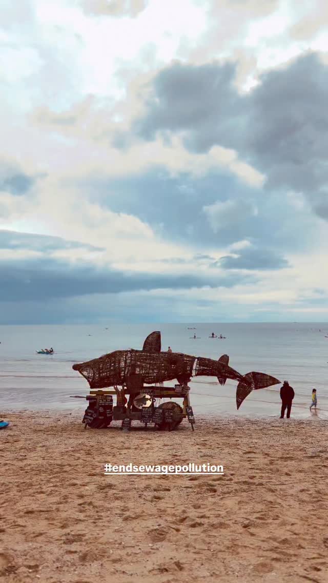 Incredible show of PEOPLE POWER at the Falmouth Paddle Out !!! 💥 @surfersagainstsewage
Hundreds of voices standing together to say ENOUGH is ENOUGH! Our community is fed up of sewage pollution and tired of empty promises.
🚨 Comment ACT NOW and we’ll send you the petition link.
Clean water shouldn’t be a fight. The government MUST listen and act.
Let’s keep the pressure on and make this impossible to ignore.
#endsewagepollution #cleanwater #protectourseas #waterpollution actnow