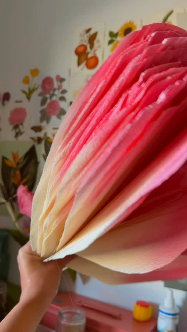 Our Blush Giant Paper Rose✨
#paperflowers #giantpaperflowers #floritastudio #giantpaperrose