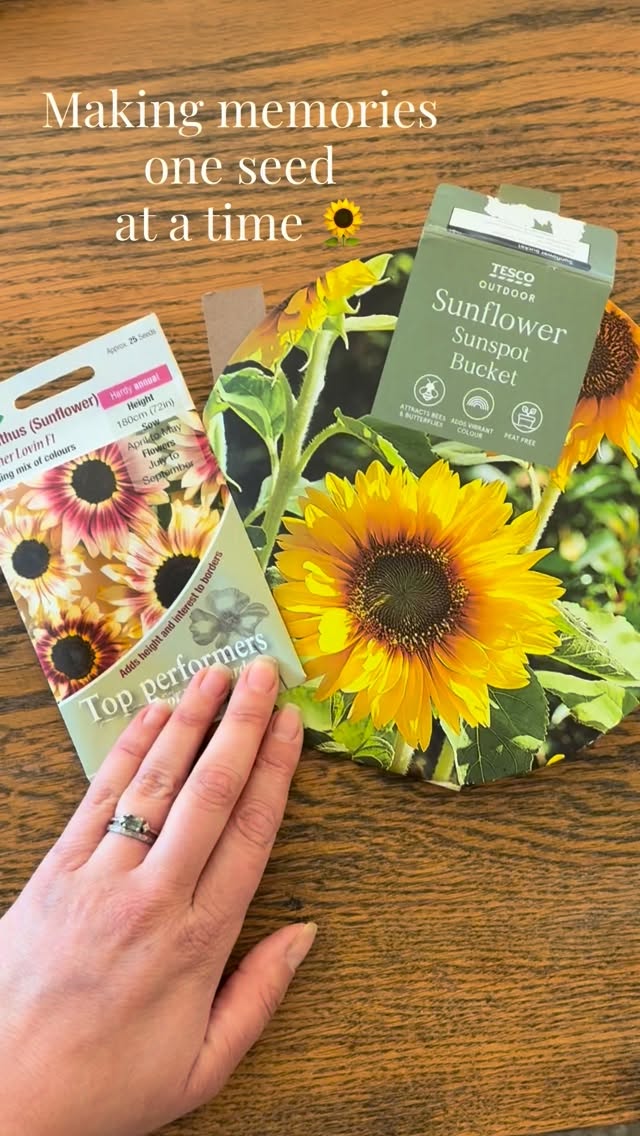 👩🏽🌾 Sowing sunflowers 🌻
One of those simple moments I know I’ll remember forever. Little fingers, compost everywhere and very serious discussions about what will happen to those buried seeds.
I also love that sunflowers don’t just look beautiful they’re known for helping cleanse and improve soil too. Tiny seeds doing big things.
Now we wait for the magic to happen 🌻
The varieties I’ve sown here are:
🌻 sunspot
🌻 summer lovin
What’s your favourite flower to grow with children?
#thegranarygarden #gardeningwithkids #growyourown #growyourownflowers #gardenmagic