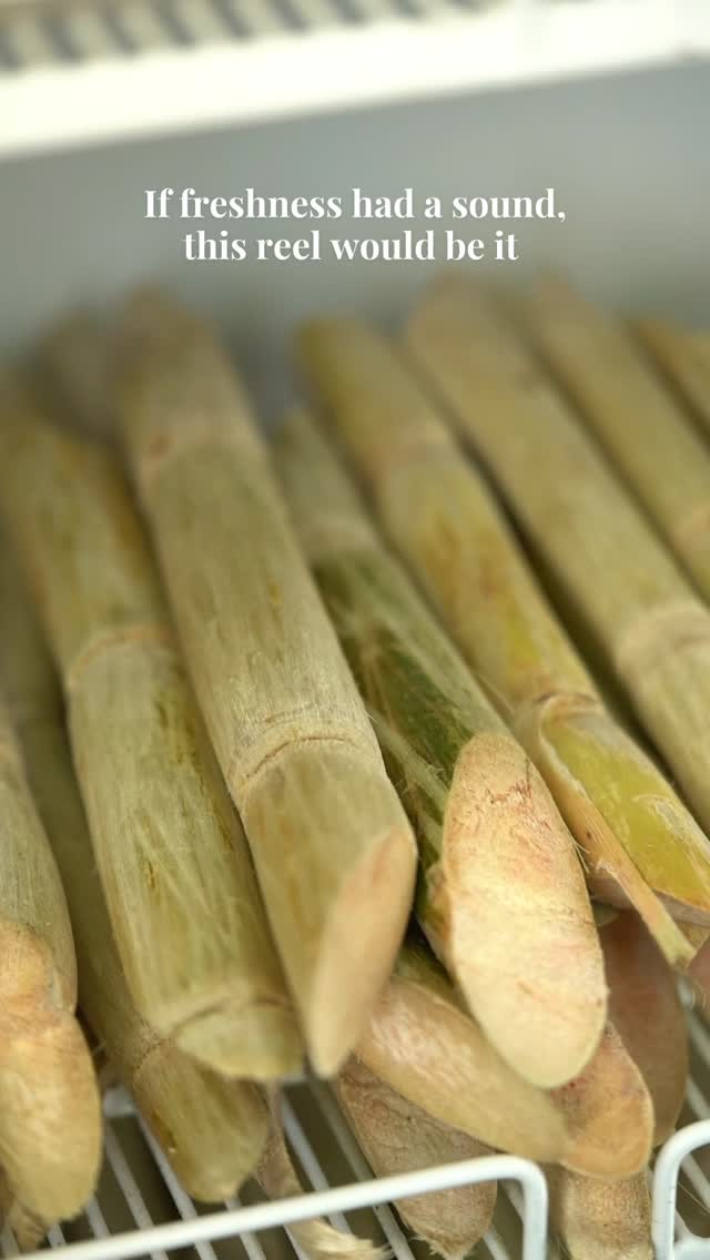 If summer had a natural reset button, it would sound exactly like this 🥤💚
#freshcrush #sugarcanejuice #freshjuice #coldpressed #healthylifestyle