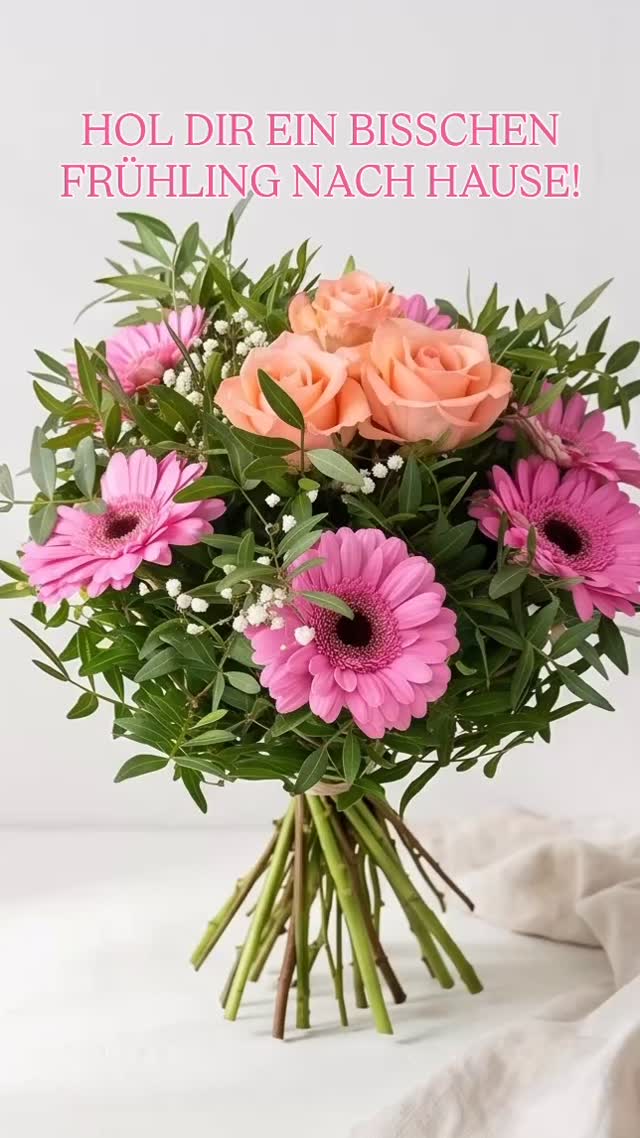 💐Auch wenn die Sonne gerade mal Pause macht… wir bringen euch den Frühling direkt nach Hause 💐✨
Jedes 1. & 3. Wochenende wartet bei uns im Store eine frische Blumenauswahl auf euch…und dieses Wochenende wird’s besonders schön:
🌷 Pfingstrosen
🌹 Rosen
🌼 bunte Blumensträuße
Hol dir gute Laune, Frische & ein bisschen Farbe in dein Zuhause, ganz egal, was draußen gerade los ist 🤍
Connected BY Fashion
…und ein bisschen Blumenliebe gehört einfach dazu 💐
#bystylez #blumenliebe #pfingstrosen #frühlingsgefühle #marxzell