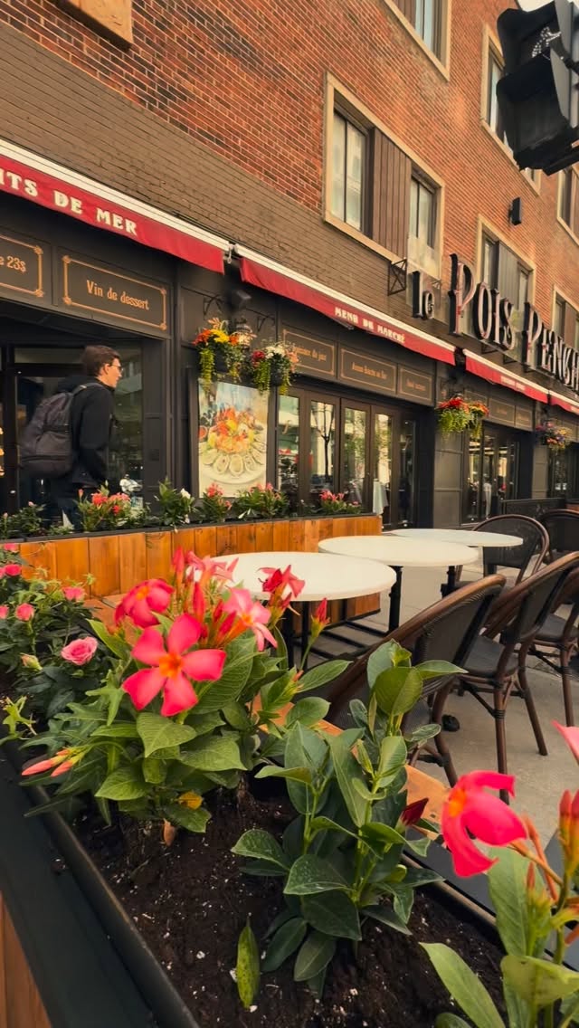 Parisian terrace energy in the heart of Montreal ✨
A little escape to France, one table at a time.
From the warm wood tones to the elegant black detailing, every corner at Le Pois Penché feels like a stroll through a charming French boulevard 🇫🇷☕️
Terrace season officially looks this good.
🎥 Designed atmosphere, timeless vibes & unforgettable dining
🏛️ Interior ambiance by the Jabali Brothers
🌐 IDCA Design
#LePoisPenche #TerrasseMontreal #FrenchVibes #ParisianStyle #MontrealRestaurants TerraceSeason RestaurantDesign IDCADesign JabaliBrothers FrenchRestaurant MontrealFoodie OutdoorDining FranceVibes LuxuryHospitality