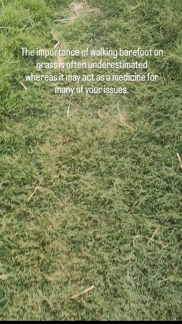 Ever feel like your energy is scattered, your body is tense, and you’re completely stuck in your head?
The easiest reset is right outside your door—and it’s completely free.
Walking barefoot on grass (often called "earthing" or "grounding") isn't just a feel-good wellness trend. It is a biological necessity. Modern life constantly cuts us off from the Earth's natural electrical surface charge. When you step onto the grass with bare feet, you are instantly discharging accumulated stress, stabilizing your nervous system, and drawing up a fresh supply of free electrons.
From an energetic standpoint, this is the ultimate medicine for your root chakra. Your root chakra (Muladhara) governs your sense of safety, survival, and belonging. When you walk barefoot, you literally plug back into the source, recharging your foundation and anchoring your physical body.
If you're feeling anxious, ungrounded, or chronically fatigued, skip the scrolling today. Kick off your shoes, step onto the earth for 10 minutes, and let nature do the recalibration.
#grounding #earthing #rootchakra #barefootwalking #holisticwellness