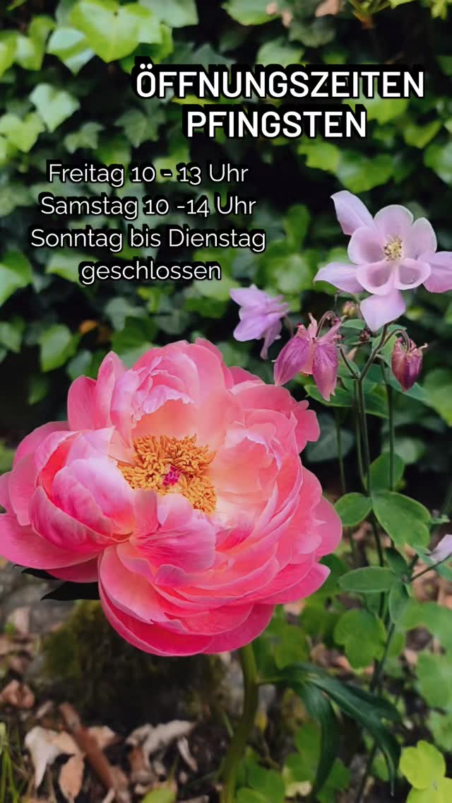 Unsere Pfingst-Öffnungszeiten 🌸
Fr: 10:00 – 13:00 Uhr
Sa: 10:00 – 14:00 Uhr
So – Di: Geschlossen
Wir wünschen Ihnen frohe Feiertage!