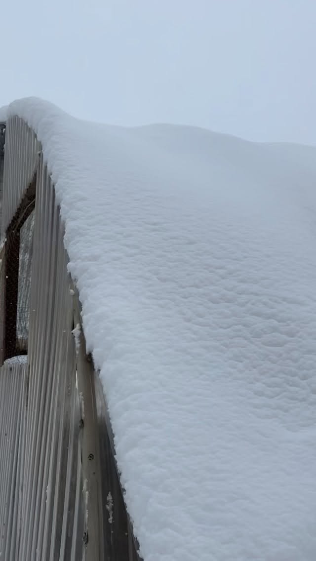 In case you’re wondering how we keep the chickens healthy and warm when it snows 😁. We are the maintenance crew of their chicken mansion.
Our last snow storm brought 10 inches before Mother’s Day. When it’s that’s heavy and wet, we have to scrape our hoop house, which is where the chickens roost and prefer to be during a storm. But today brought us 3 more inches of rain and snow, and still counting! Crazy mountain weather!
#farmlife #chickensofinstagram #farmher #chickens