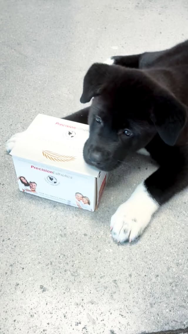 Puppy endorsed. Need we say more? âşď¸