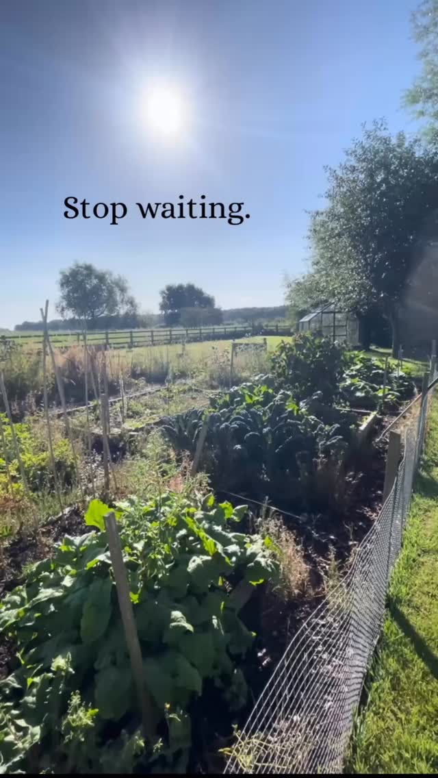 👩🏽🌾 Stop waiting. 🌱
You don’t need to grow a full garden, or have it all figured out. Just start with one thing.
A pot of fresh herbs, some easy veg, or a few cut flowers.
Let this be the year you grow something of your own.
If we all grew just one thing… imagine the difference it could make 🌍
#thegranarygarden #growyourown #cutflowergarden #vegpatch #gardenmagic