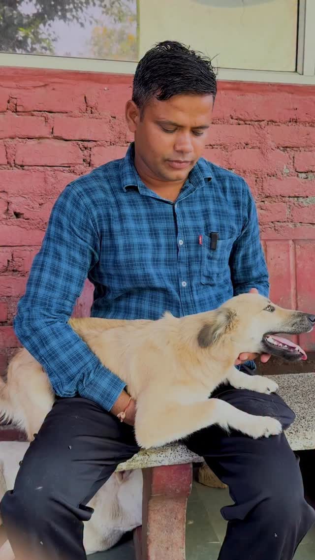 Meet Chiku
A playful little indie girl with endless energy, curious eyes, and the sweetest heart. Fully vaccinated and ready to find a loving forever home.
DM us to adopt Chiku
(pet adoption, animal rescue, dog adoption, cat adoption, rescue animals india, adopt indie dogs, forever home, rescued pets, animal shelter india, adoption stories, pet rescue, stray dog adoption, rescue cat, adopt don’t shop, animal welfare, pet adoption india, rescued dog transformation, happy adoption story, save stray animals, animal sanctuary)