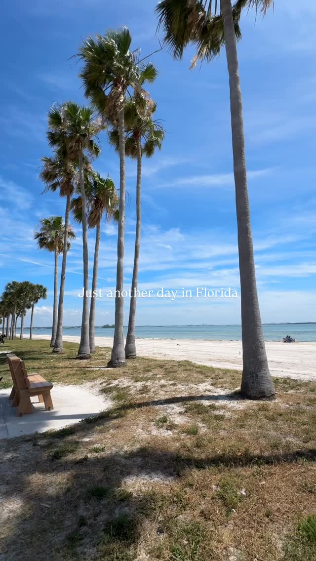 FL life 🩵🌴
Where everyday is paradise!
Dunedin Causeway, Dunedin, Florida
Your summer vacay starts here ~
@driftwoodcottagepalmharbor
•
•
•
•
Florida life Florida vacation sunshine state