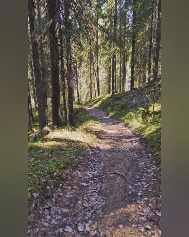 Slow tv Thursday 😎☀️
.
#wabisabi #wabisabimaker #norrland
