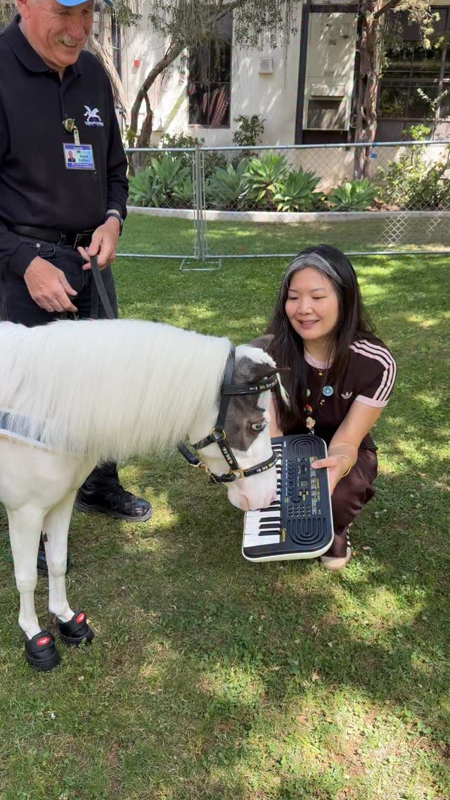 LILY is getting better at her keyboard skills and Valentina is a pro! @hehmiddleschool #horse #minitherapyhorses #wellness #compassion #healing #hope #schools #school #specialneeds #keyboard @casiomusicgear #piano @johnlegend