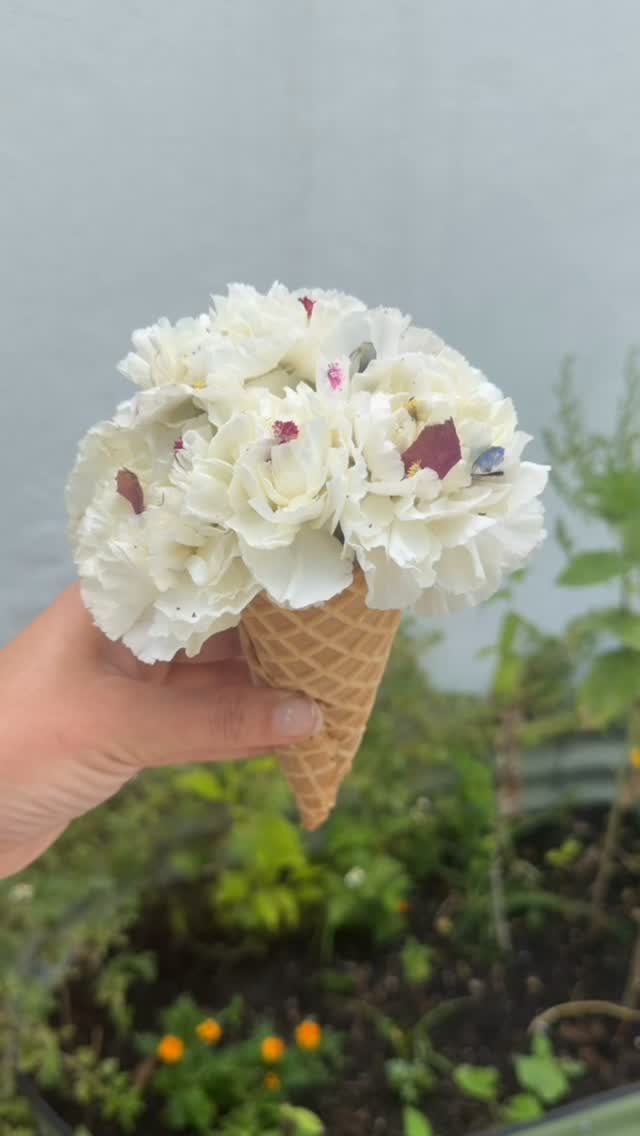 Flower Ice Cream Cones are here just in time for the sweetest summer treat! 🍦🌸
What better combo for a summer time treat! Create a whimsical flower-filled “ice cream cone” arrangement that’s almost too cute to handle — the perfect summer activity for friends, families, date nights, and flower lovers alike!
Join us at the flower shop all summer long for an ice cream cone workshop!