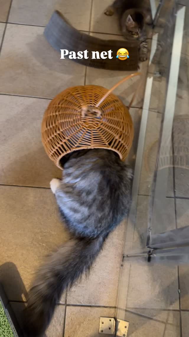Max denkt dat hij soms kleiner is dan dat hij is. ๐