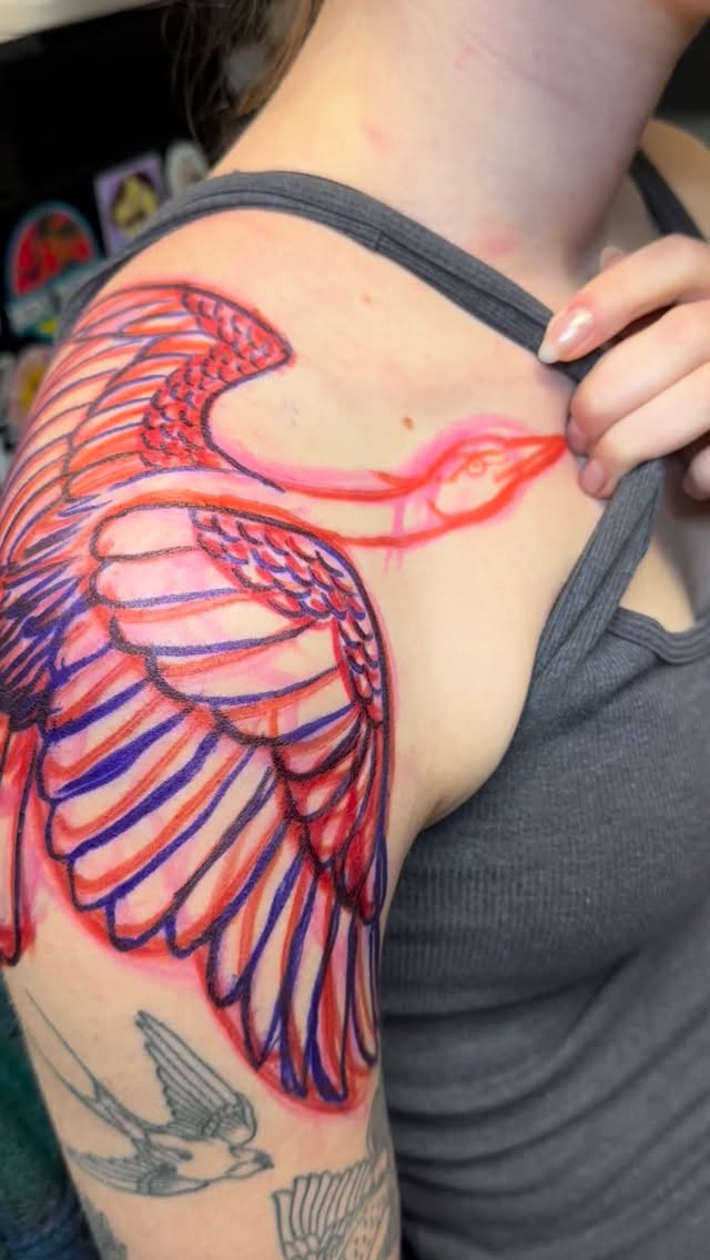 Linework tattoo by Damara #delcotattoos #delcobirdnerds #mediapa