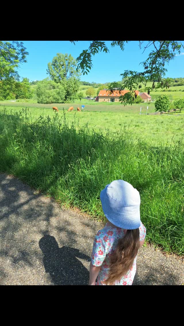 Rondje wandelen rondom ons KDV ๐โ๏ธ๐๐ป #kleinschaligekinderopvang #buiten #natuur #motorischeontwikkeling