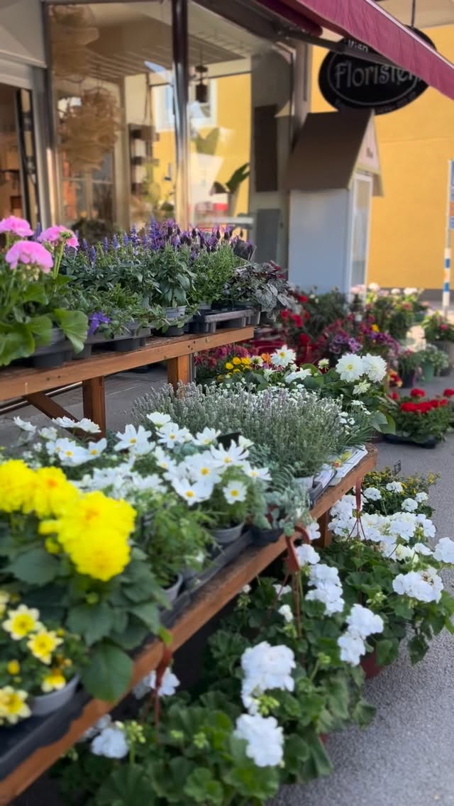 Igår kom de påfyllning av sommarblommor 😍