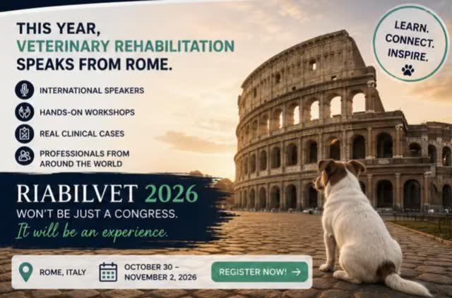 🇮🇹 Quest’anno la riabilitazione veterinaria parla da Roma.
Professionisti da diversi paesi.
Relatori internazionali.
Workshop pratici.
Casi clinici reali.
E tutto questo… nella città eterna.
🌍 RIABILVET 2026 non sarà solo un congresso.
Sarà un’esperienza.
📍 Roma
📅 30 ottobre – 2 novembre 2026
🎟️ Iscrizioni aperte
💬 Alcuni viaggi arricchiscono il curriculum.
Altri cambiano prospettiva.
#Riabilvet2026
#Rome
#VeterinaryRehabilitation
#InternationalCongress