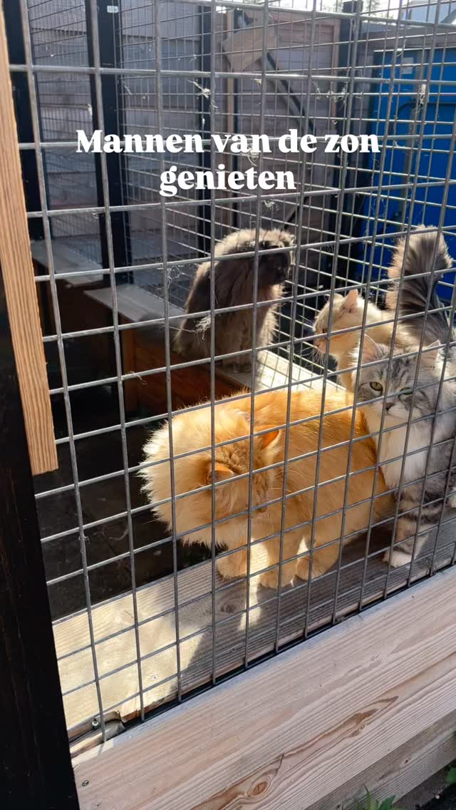 Mannen genieten lekker van het zonnetje ๐ป
