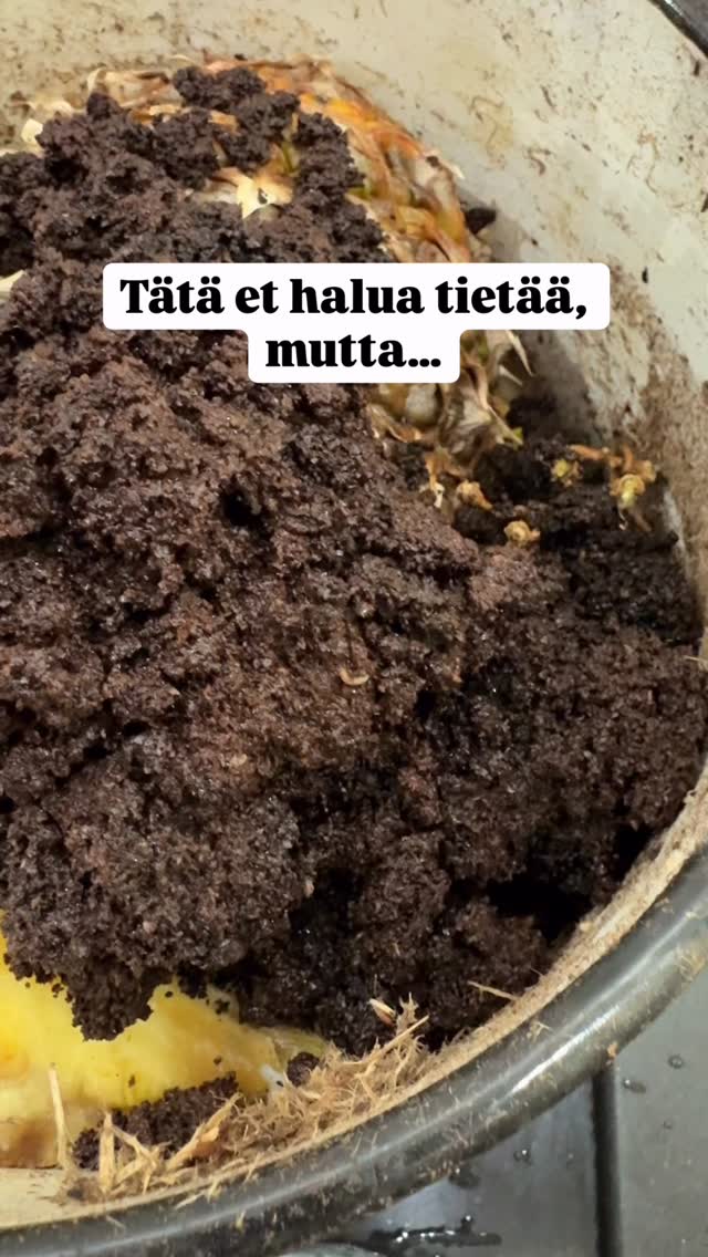 Se näyttää harmittomalta toukalta kahvipuruissa…
mutta muutaman päivän päästä se lentää keittiössäsi banaanikärpäsenä. 🫠
#kotisiivous #siivous #siivouspalvelu #sivex